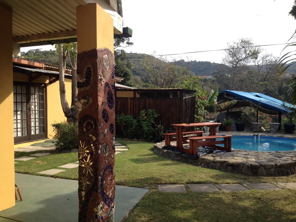 Jungle Monkey Backpackers Vandrarhem Port Saint Johnʼs Rum bild