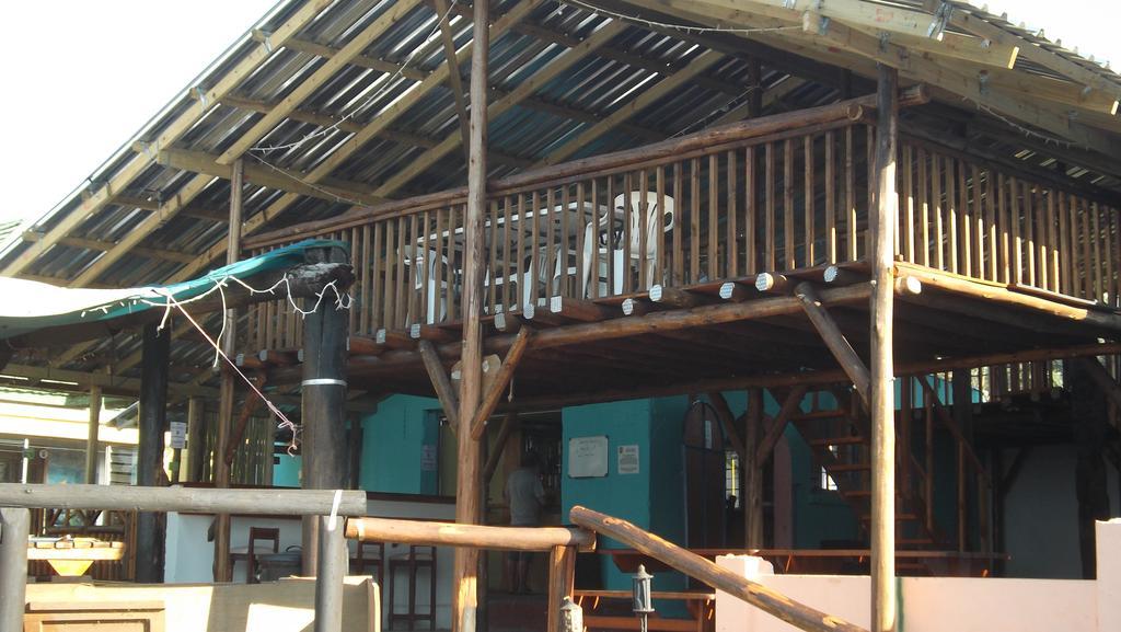 Jungle Monkey Backpackers Vandrarhem Port Saint Johnʼs Exteriör bild
